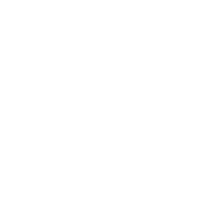 sudoku Cup tournament